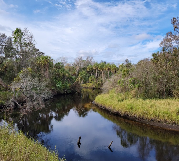 little-manatee-river-state-park-photo